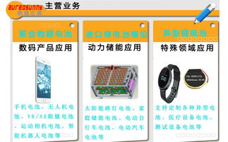 廠價(jià)直銷 聚合物鋰電池